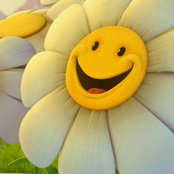 Meet your Posher, Pauline - Picture 1 of 1